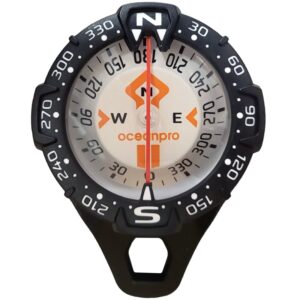 Compass Clip On