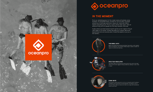 We are OceanPro